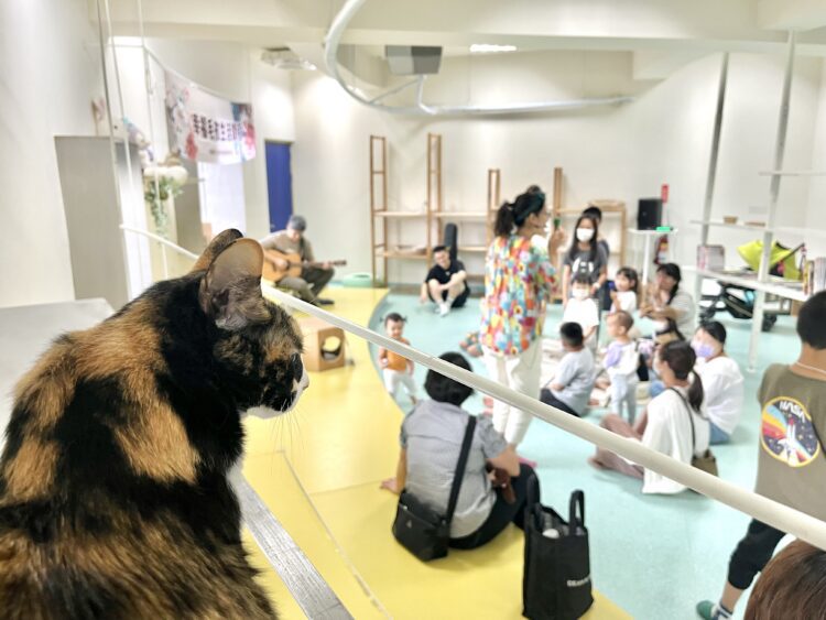 透過旋律閱讀！中市動保處攜手「小吉他繪本屋」宣導動物生命教育