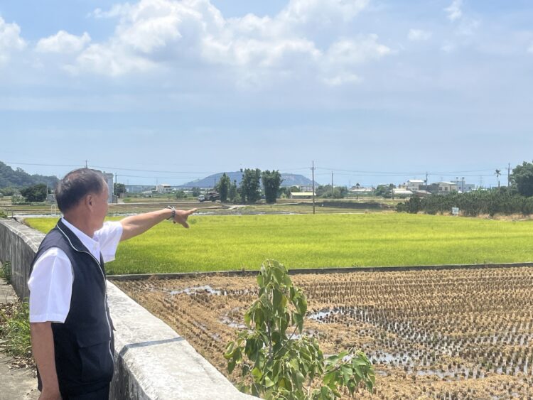 電圍網防治野豬！中市農業局：有效嚇阻並減低人豬衝突