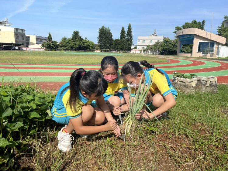 推動永續淨零創佳績！-中市教育局獲第四屆tsaa台灣永續行動金銀獎