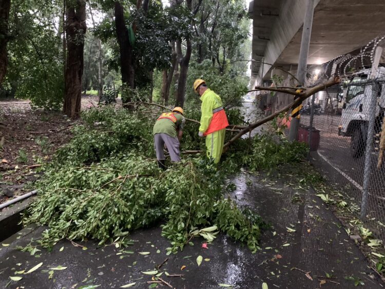 康芮颱風災後-中市清潔隊全員出動-加速恢復市容