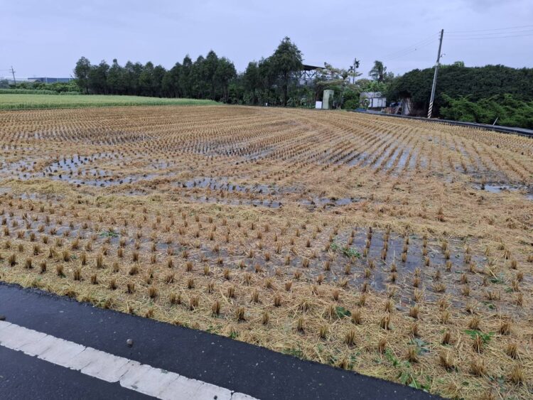 改善空氣品質-中市113年2期作稻草剪段翻耕12/10前受理補助