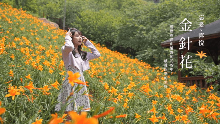 台中四季花海驚豔登場！ -觀旅局帶您走訪五大花卉秘境、邂逅季節限定之美