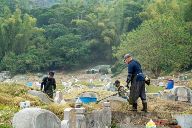 超前部署！-迎接元宵後客家掃墓-中市客家庄提前啟動公墓除草清運