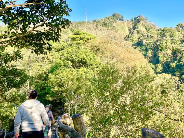 台中大坑登山步道春遊減脂好去處-2號彩色森林步道美景開箱