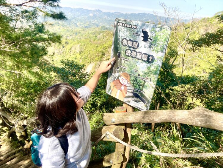 開箱台中大坑賞鳥秘境！中市觀旅局邀民眾探索3號鳥語步道