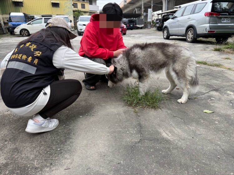 不容虐待動物！東勢區虐犬棄養-中市動保處將嚴懲-擬重罰22.5萬元